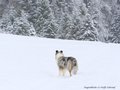 Schnee-Impressionen 2020/2021