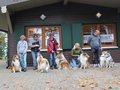 Collie-Treffen am 21.10.2023
