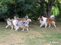 Kleines Treffen am 03.09.2016