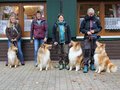 Collie-Treffen am 21.10.2023