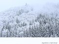 Schnee-Impressionen 2020/2021