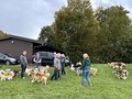 Collie-Treffen am 21.10.2023