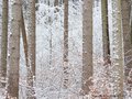 Schnee-Impressionen 2020/2021