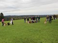 Collie-Treffen am 21.10.2023