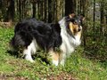 Jamila und Kimi