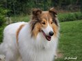 Kleines Treffen am 03.09.2016