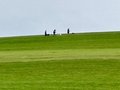 Collie-Treffen am 21.10.2023