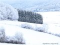 Schnee-Impressionen 2020/2021