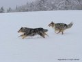 Schnee-Impressionen 2020/2021