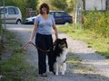Welpentreffen 2011
