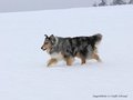 Schnee-Impressionen 2020/2021
