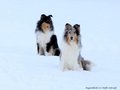 Schnee-Impressionen 2020/2021