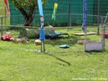 U-Wurf ab der 6. Woche