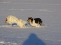 Jamila und Kimi