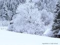 Schnee-Impressionen 2020/2021