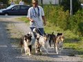 Welpentreffen 2011