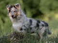 Gwendolyn vom Neckarwiesenweg