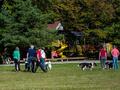 10 Jahre Collies vom Neckarwiesenweg - 13.10.18