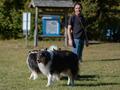 10 Jahre Collies vom Neckarwiesenweg - 13.10.18