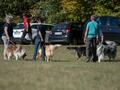 10 Jahre Collies vom Neckarwiesenweg - 13.10.18