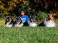 10 Jahre Collies vom Neckarwiesenweg - 13.10.18