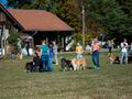 10 Jahre Collies vom Neckarwiesenweg - 13.10.18