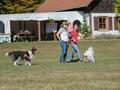 10 Jahre Collies vom Neckarwiesenweg - 13.10.18